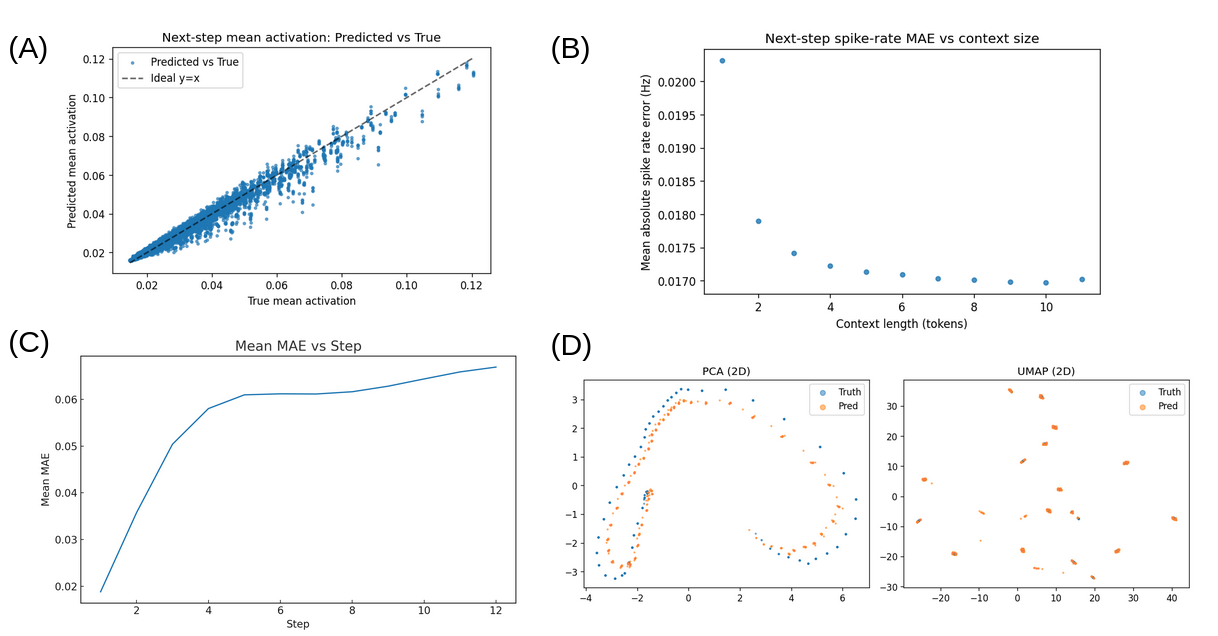 Sparse Brain Models Performance